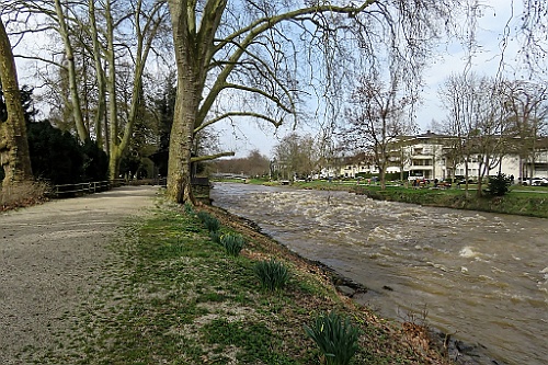 BadNeu (10)